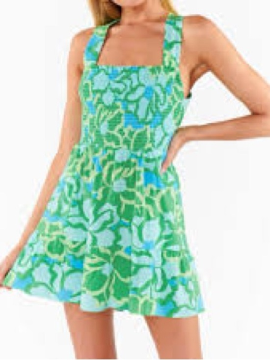 Show Me Your MuMu Dresses & Skirts - Show Me Your Mumu Revolve Collins Mini Green and Blue Floral Dress